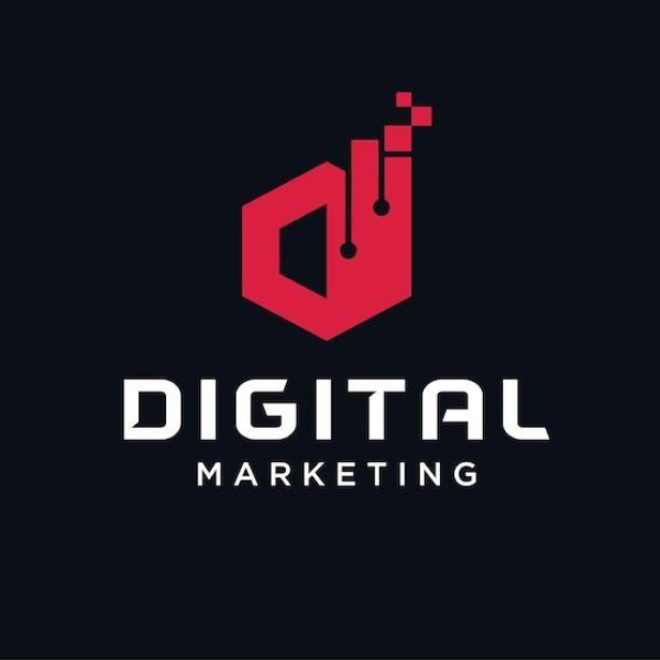 SEO analytics dashboard showing website traffic growth