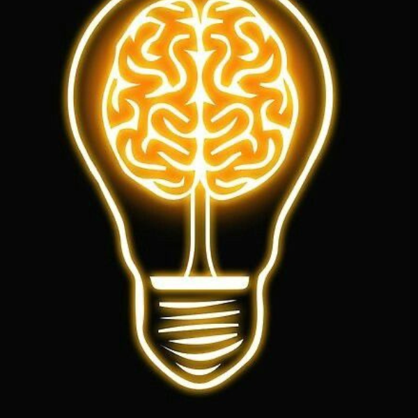 SEO analytics dashboard showing website traffic growth